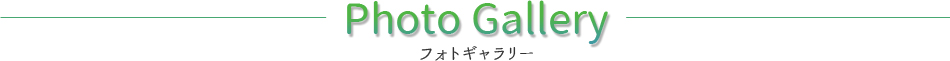 photogallery