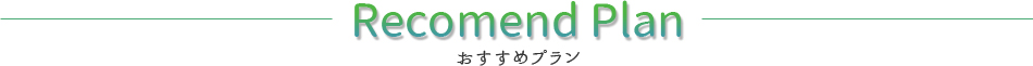 おすすめプラン